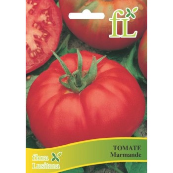Tomate Marmande 5 Gr