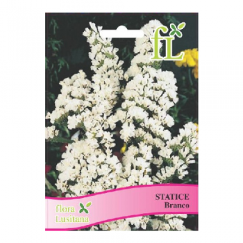 Statice Branco