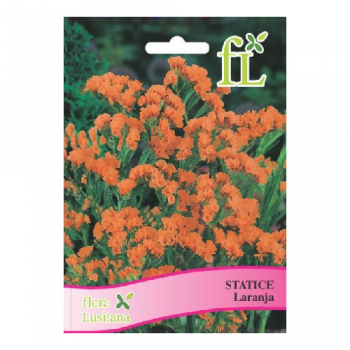 Statice Laranja