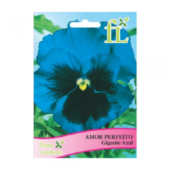 Amor Perfeito Gigante Azul