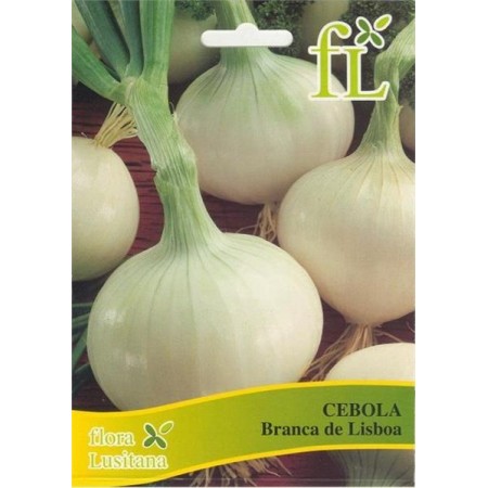 Cebola Branca Lisboa 10 gr