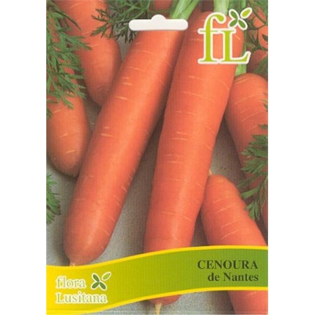 Cenoura Nantes 10 Gr