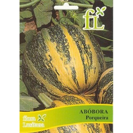 Abobora Porqueira 10 Gr