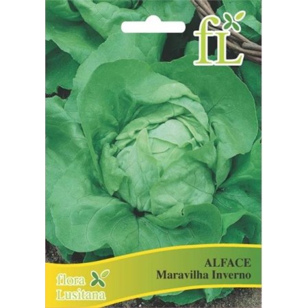 Alface Marav. Inverno 10 Gr