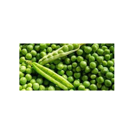 Ervilha Rondo 1/2 Palha 5 Kg
