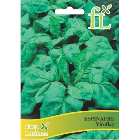 Espinafre Viroflay 10 Gr
