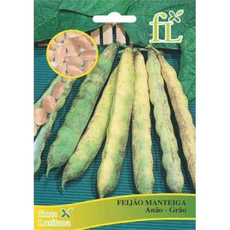 Feijão Manteiga Anão-Grão 100 Gr
