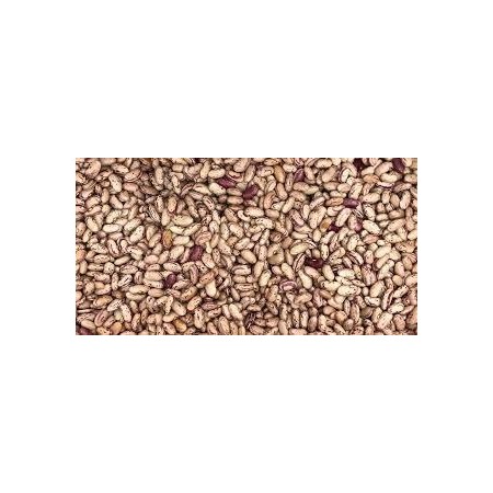 Feijão Rajado Anão-Vagem 100 Gr