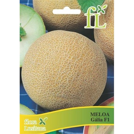 Meloa Galia F1 0.5 Grs