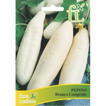 Pepino Branco Comprido 10 Gr