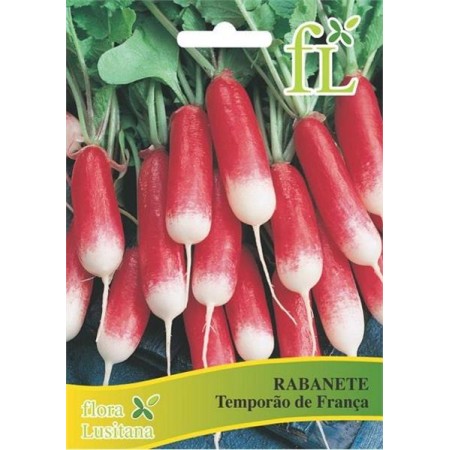 Rabanete Temporão França 10 gr