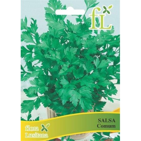 Salsa Comum 10 Gr