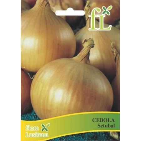Cebola Setubal 5 gr