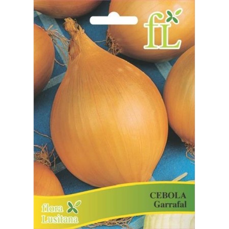 Cebola Garrafal 10 gr
