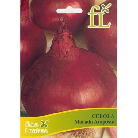 Cebola Morada Amposta 10 gr
