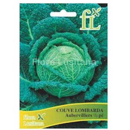 Couve Lombarda Auberv. 1/2 pé 10 Gr