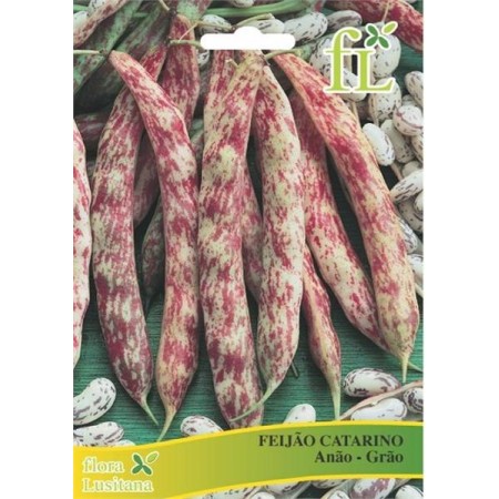 Feijão Catarino Anão-Grão 100 Gr
