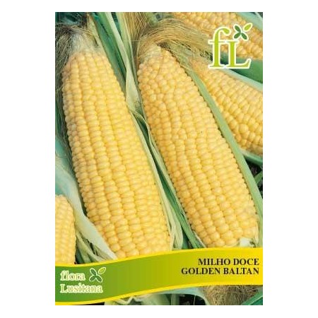 Milho Doce Bantam 10 Grs