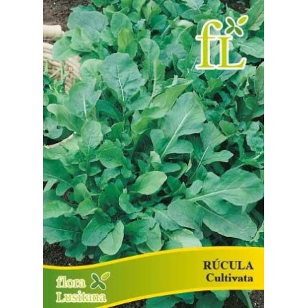 Rucula Cultivata 5 Gr