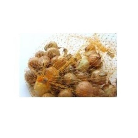 Cebolinho Amarelo 500 Gr