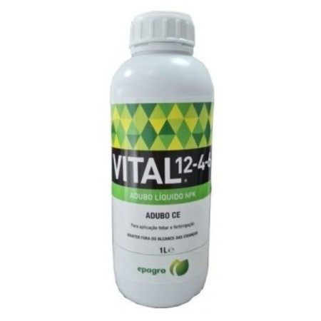Vital 12-4-6   1L