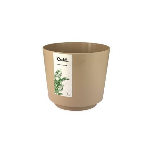 Vaso 1