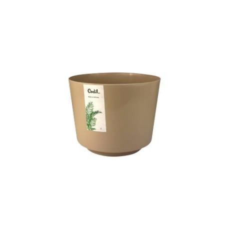 Vaso 3
