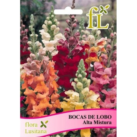 Bocas de Lobo Alta Mistura