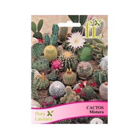 Cactos Mistura