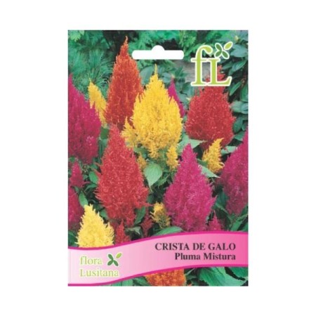 Crista de Galo Pluma Mistura