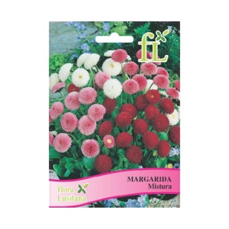 Margarida Mistura