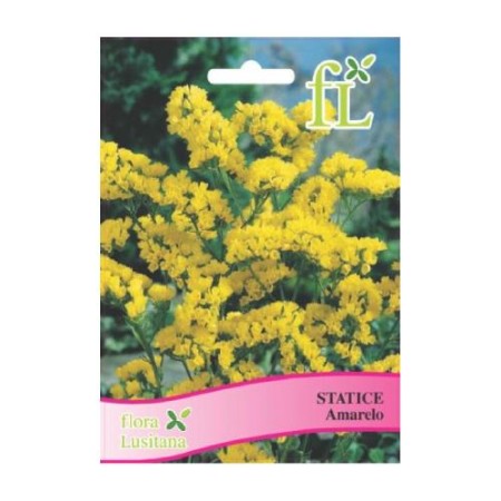 Statice Amarelo