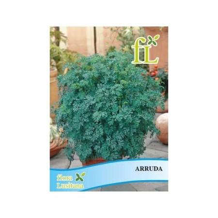 Arruda (aromática)