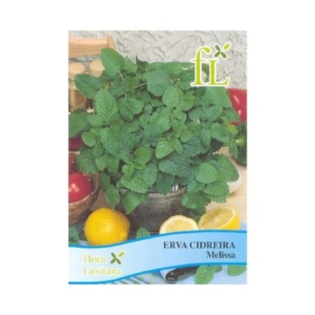 Erva Cidreira - Melissa (aromática)
