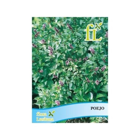 Poejo (aromática)
