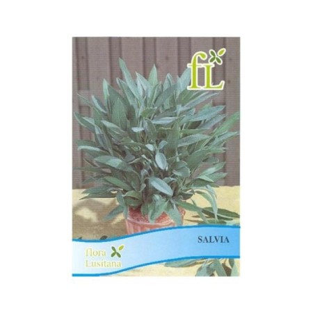 Salvia (aromática)