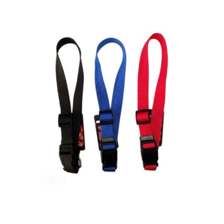 Coleira Nylon Regulavel 2.5x60 CM