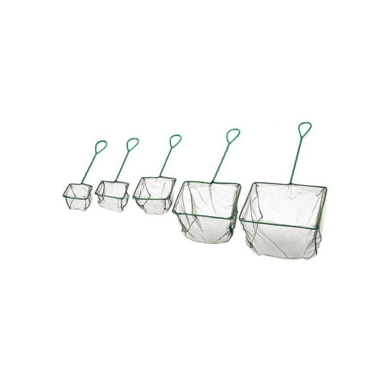 Camaroeiro Haquoss Verde 8x8 Cm