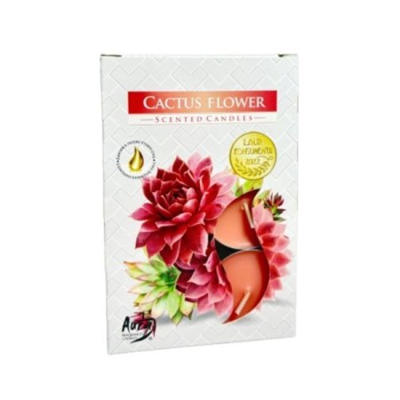 Tealight Perfumado Cx.6 Flor Cato
