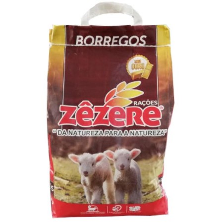 511 Gr 5 Kgs Zêzere