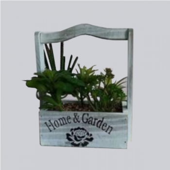 Cesta Madeira C/ Plantas
