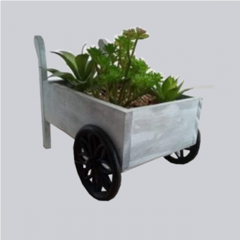 Carro Mão Madeira C/ Plantas