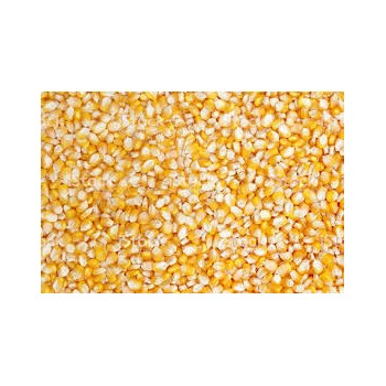 Milho Inteiro 30 Kg Jsc