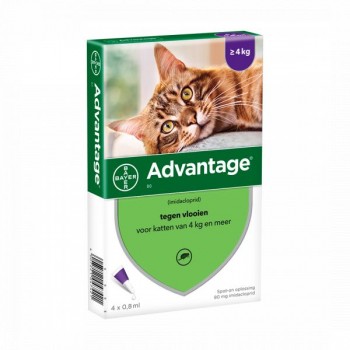 Advantage 80 Gt 4 Kgs