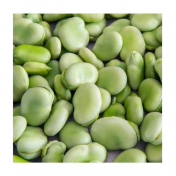 Fava Super Aguadulce  Kg