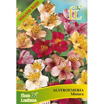 Alstroemeria Mistura S/3